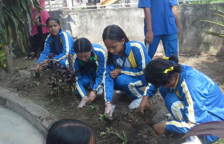 हिबिस्कस स्टुडेन्ट चाइल्ड क्लबले बिश्व बाताबरण दिवस मनाए