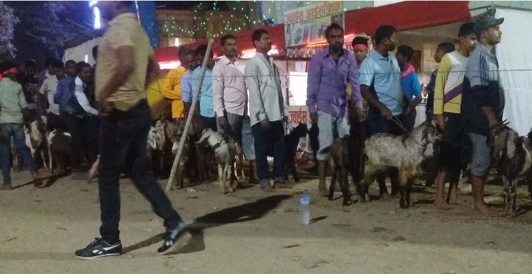 जनकपुरधाममा रहेकाे राजदेवीमन्दिरमा १५ हजार बोका बलि