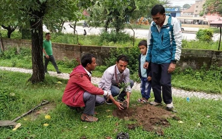 जन्मदिनमा बृक्षराेपण अभियान देशभर फैलियो