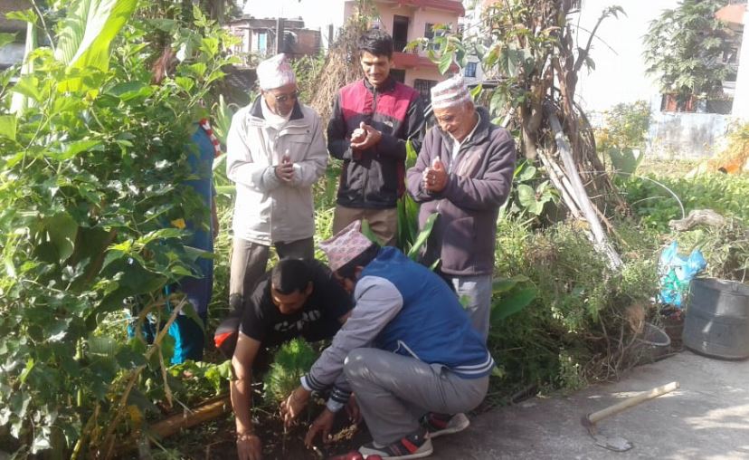 स्वतन्त्रका सचिव जन्मदिनमा विरुवा राेप्दै