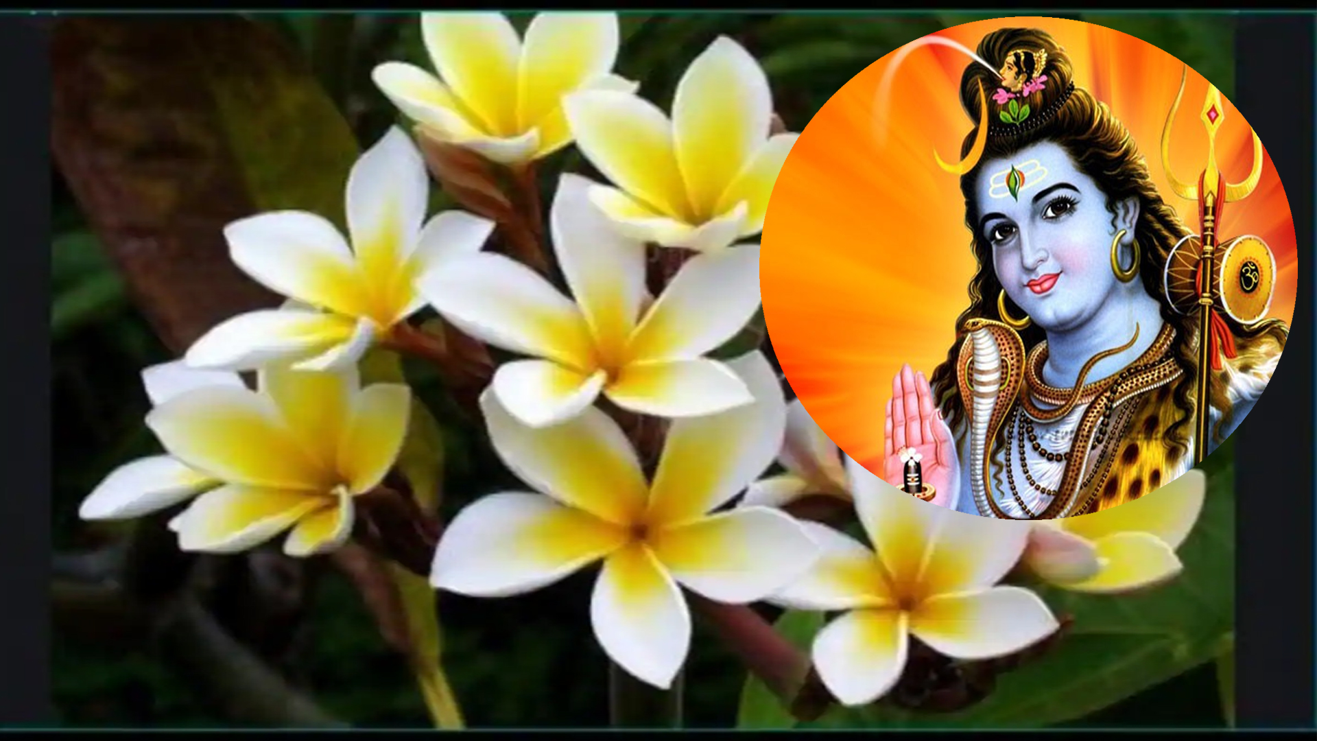 किन चढाइदैन भगवान शंकरलाई केतकिको फूल ?